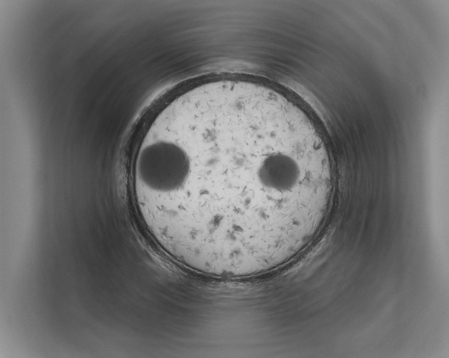 X0000111171115200907291117