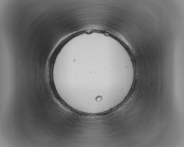 X0000111171116200907291117