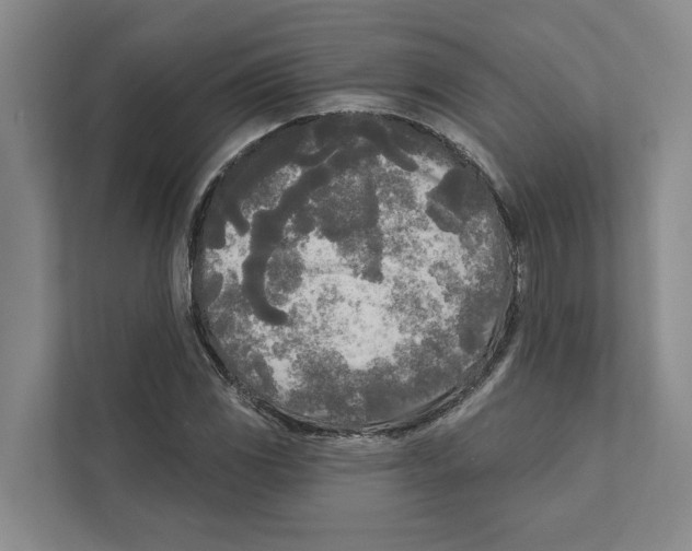 X0000111171117200907291118