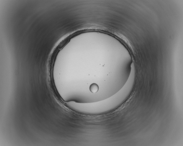 X0000111171120200907291118