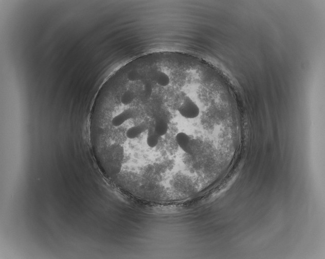 X0000111171121200907291118