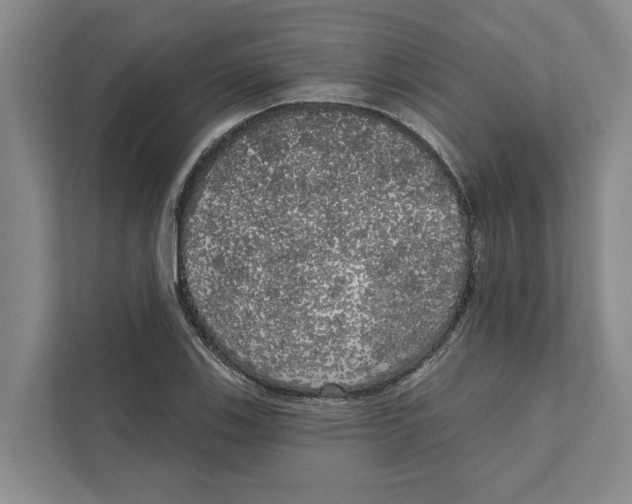 X0000111171123200907291118