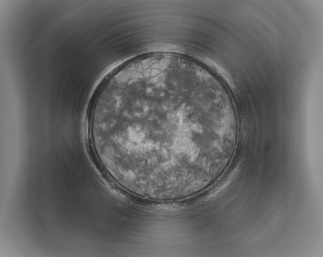 X0000111171125200907291118