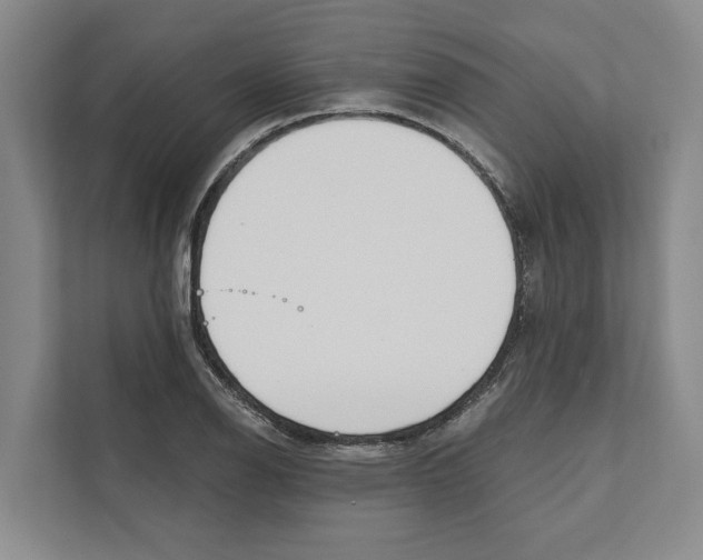 X0000111171126200907291118