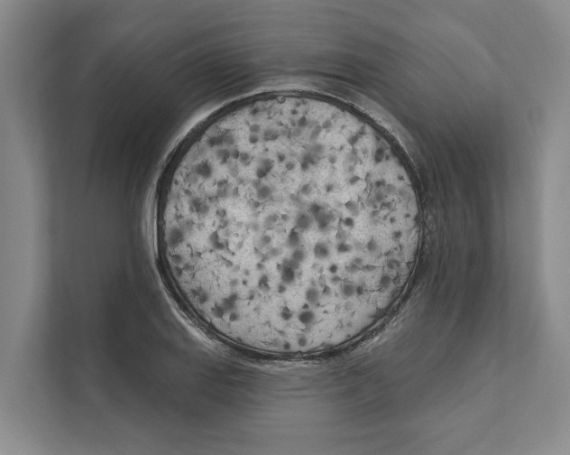 X0000111171127200907291118