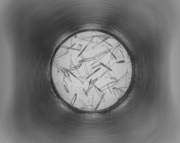 X0000111171129200907291118