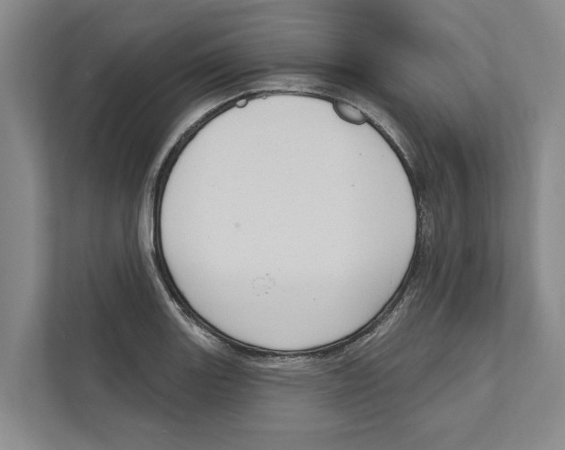 X0000111171131200907291118