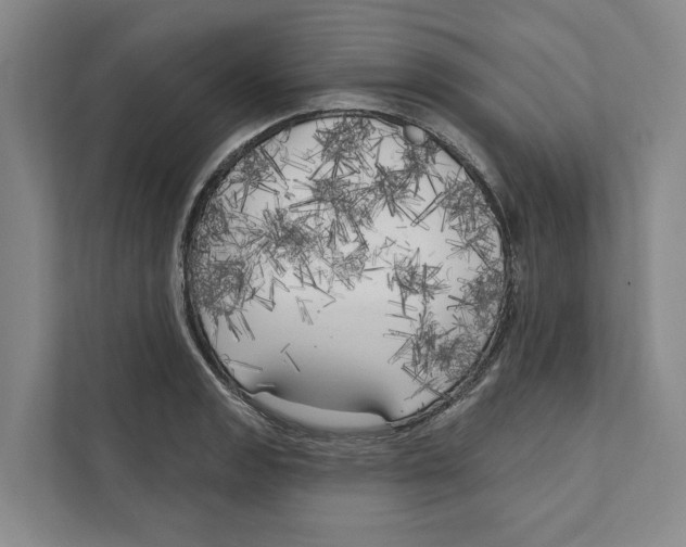 X0000111171133200907291118