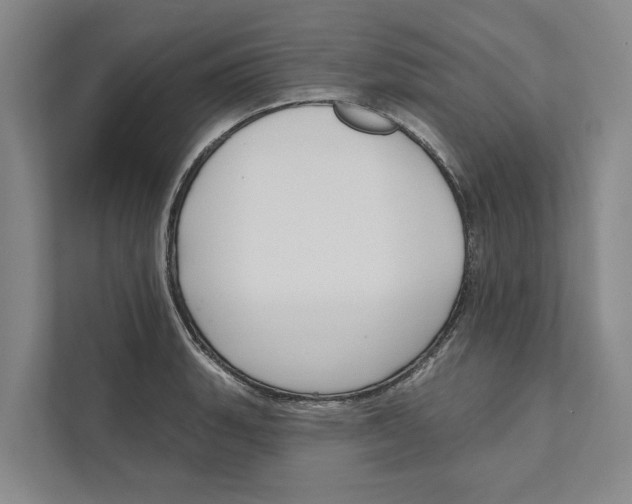 X0000111171135200907291118