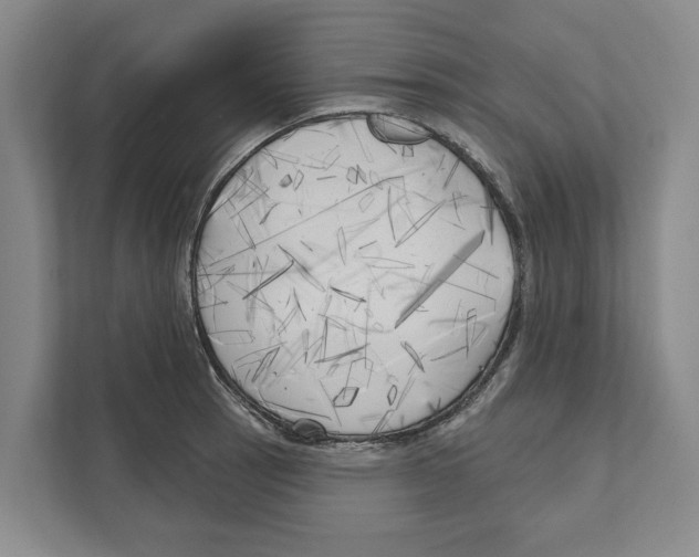 X0000111171137200907291118
