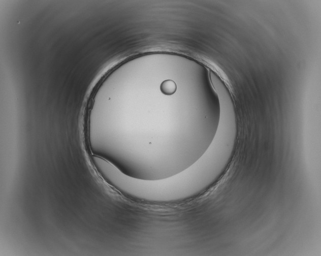 X0000111171138200907291118