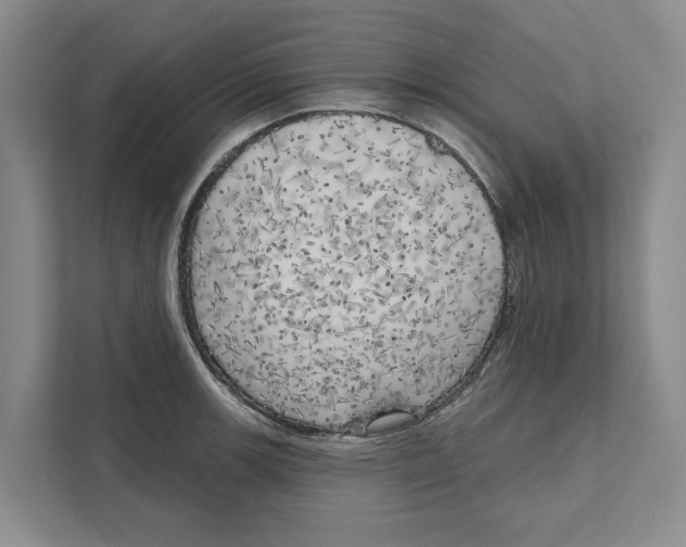 X0000111171139200907291118