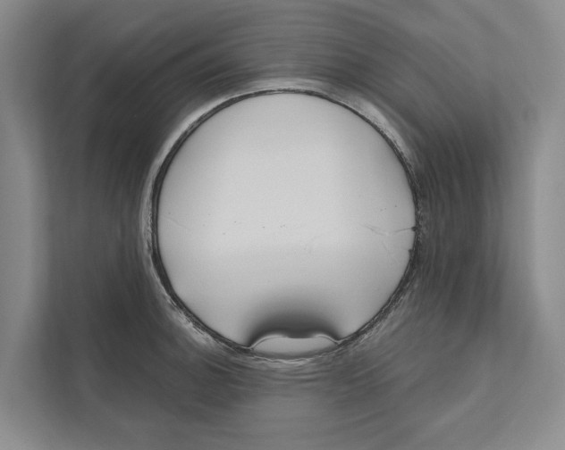 X0000111171140200907291118