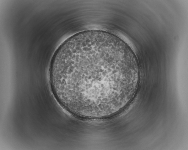 X0000111171141200907291118