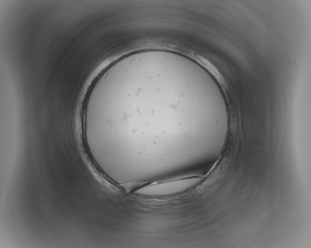 X0000111171144200907291118