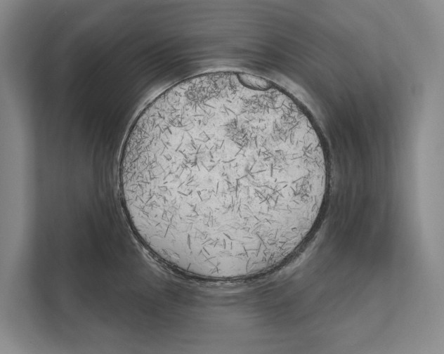 X0000111171145200907291118