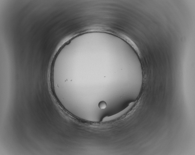 X0000111171146200907291118