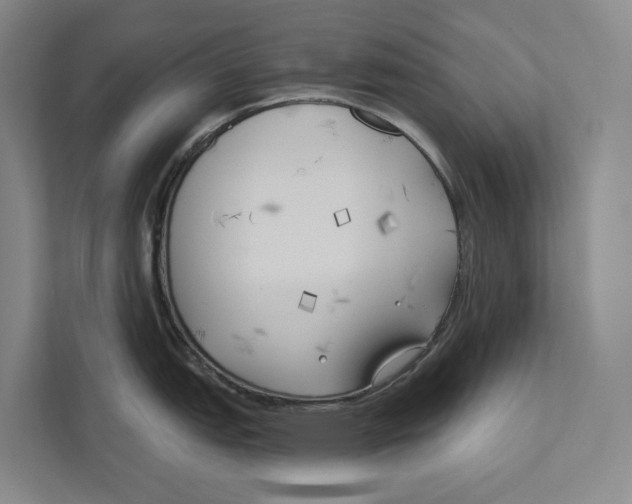 X0000111171151200907291118