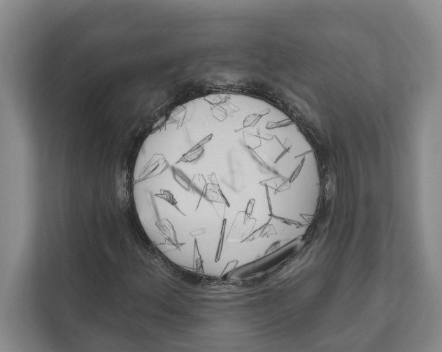 X0000111171156200907291117