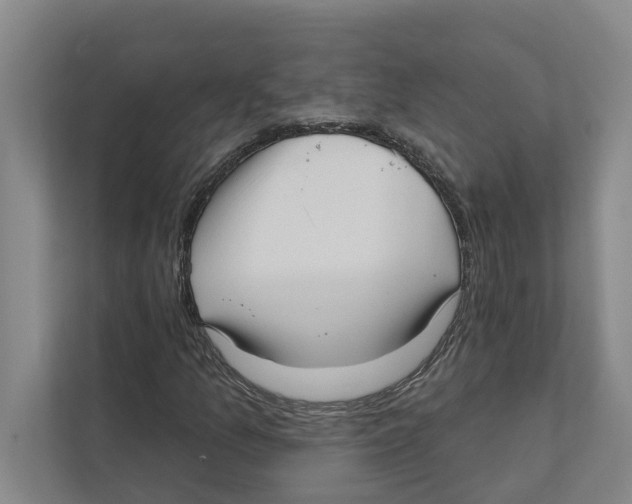 X0000111171157200907291117