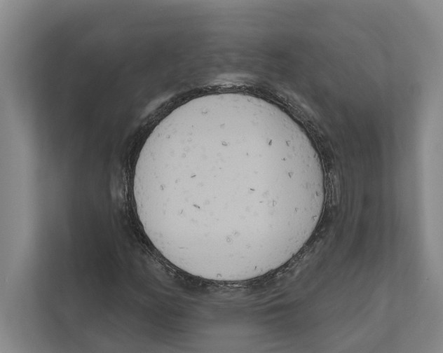 X0000111171158200907291117
