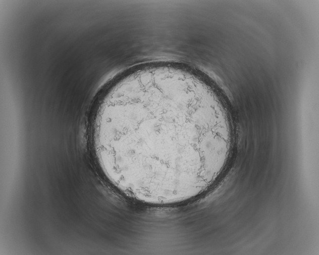 X0000111171163200907291117