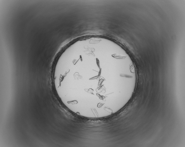X0000111171168200907291117