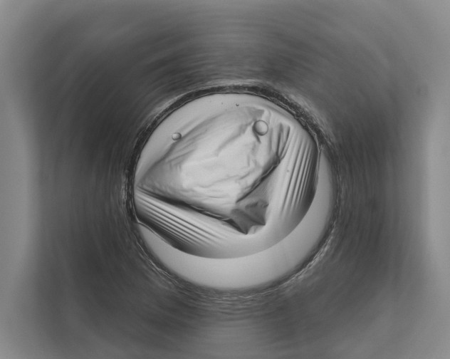 X0000111171169200907291117