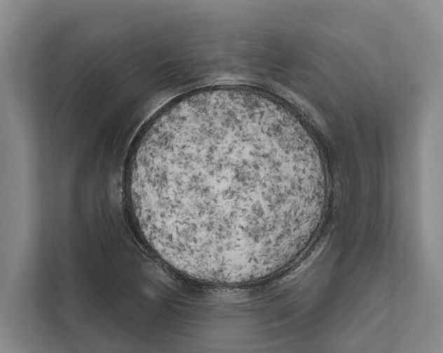 X0000111171170200907291117