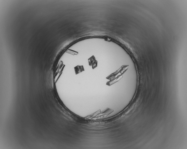X0000111171171200907291117