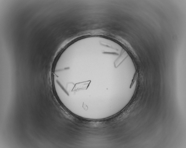 X0000111171176200907291117