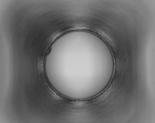 X0000111171177200907291117