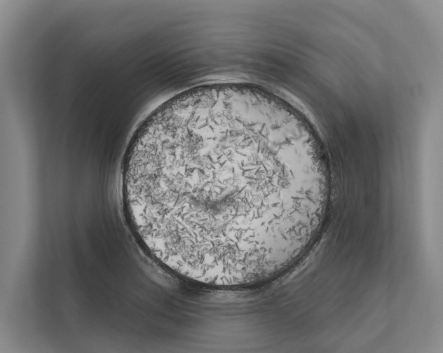 X0000111171179200907291117