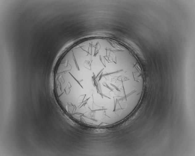 X0000111171180200907291117