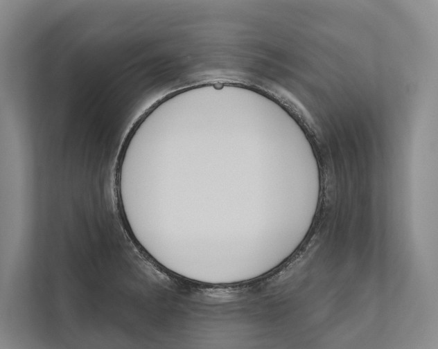 X0000111171182200907291117