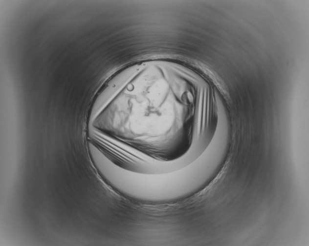 X0000111171185200907291117