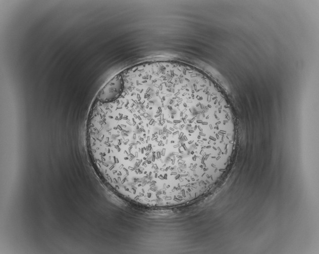 X0000111171186200907291117