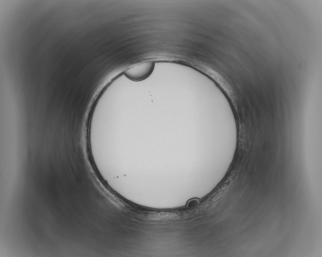 X0000111171187200907291117