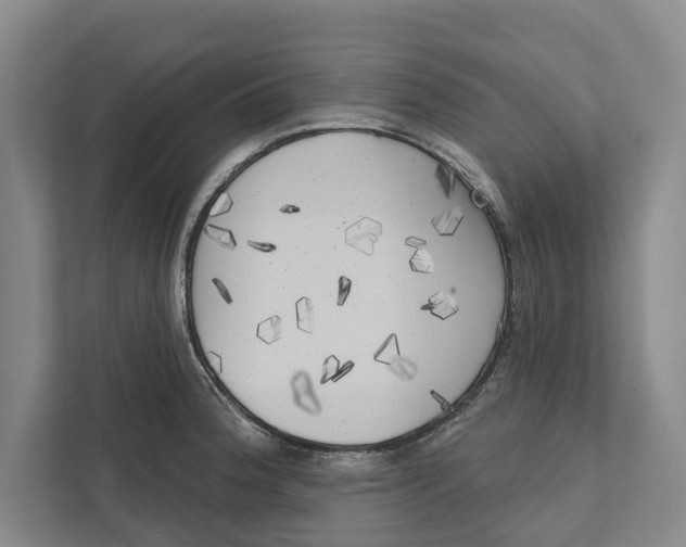 X0000111171188200907291117