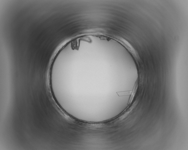 X0000111171196200907291117