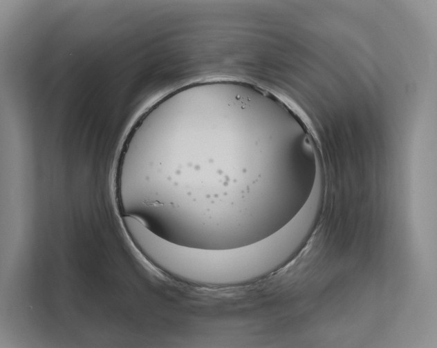 X0000111171197200907291117