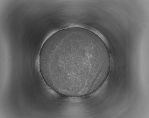 X0000111171198200907291117