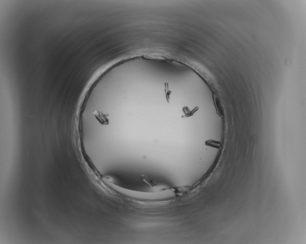 X0000111171200200907291117