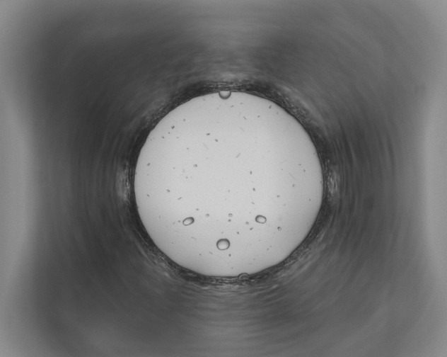 X0000111171204200907291116