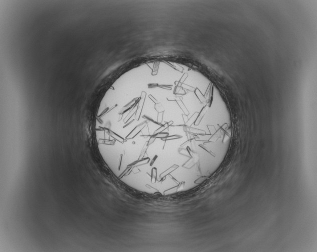 X0000111171206200907291116