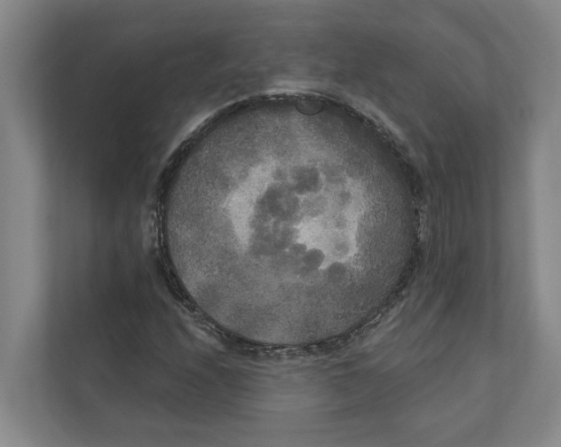 X0000111171208200907291116