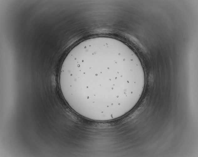 X0000111171209200907291116