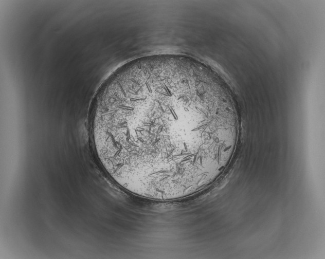X0000111171212200907291116