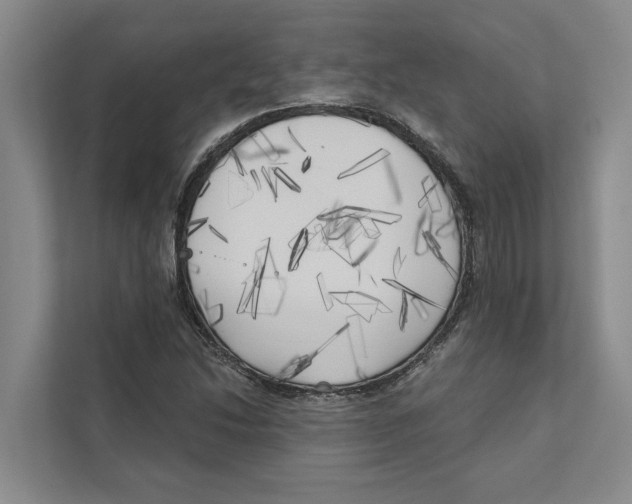 X0000111171214200907291116