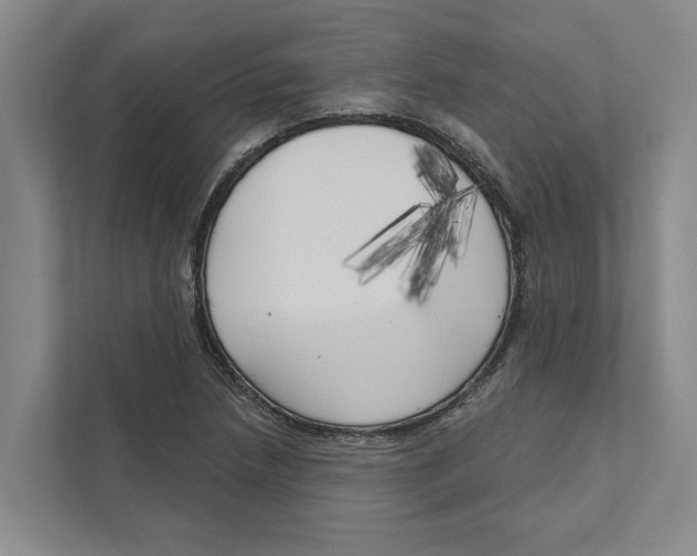 X0000111171218200907291116